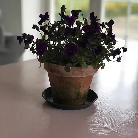 Country-living With A Lovely View And Own Terrace, Entrance And Parking Apartment Roskilde
